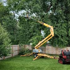 Leaf Removal in Leonardtown, MD