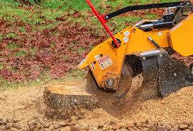 Best Tree and Shrub Care  in Leonardtown, MD