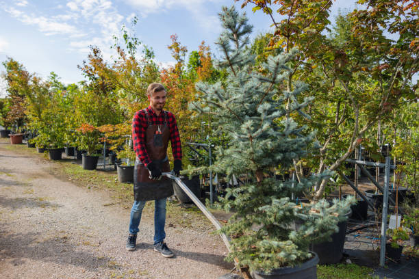 Best Weed Control  in Leonardtown, MD